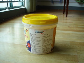 Paint Bucket Mold