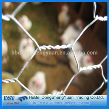 China manufacturer chicken coop hexagonal wire mesh/hexagonal wire mesh/hexagonal wire netting