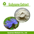 Extrait d'ecdysone 40% 50% 100% naturel