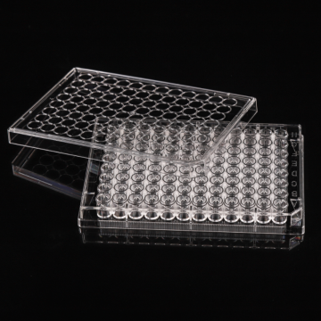 Non-treated 96 well V-bottom Cell Culture Plates