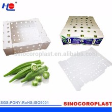Plastic Box Fruits and Vegetables