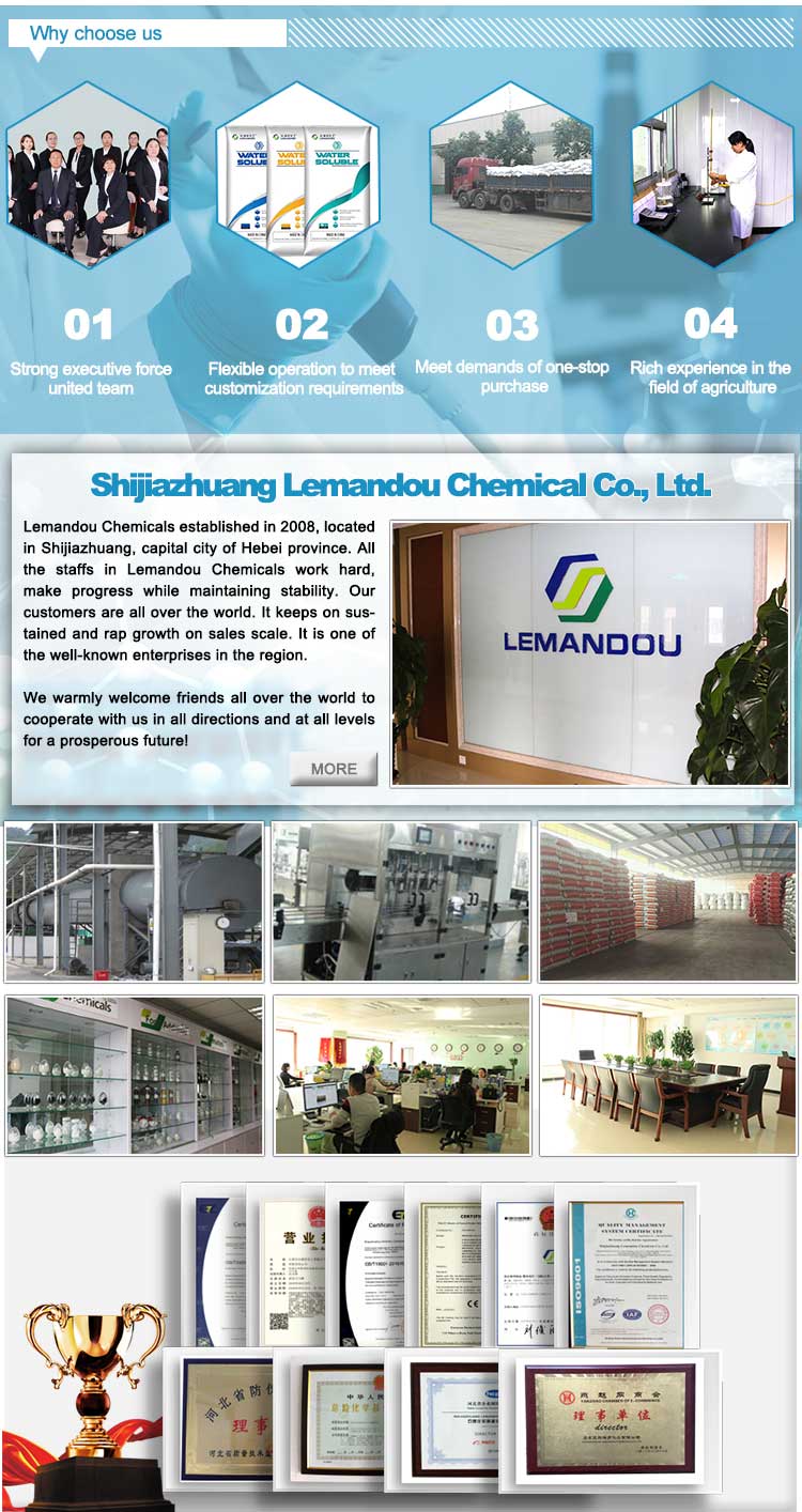 6-Benzylaminopurine manufacturer in plant growth regulator