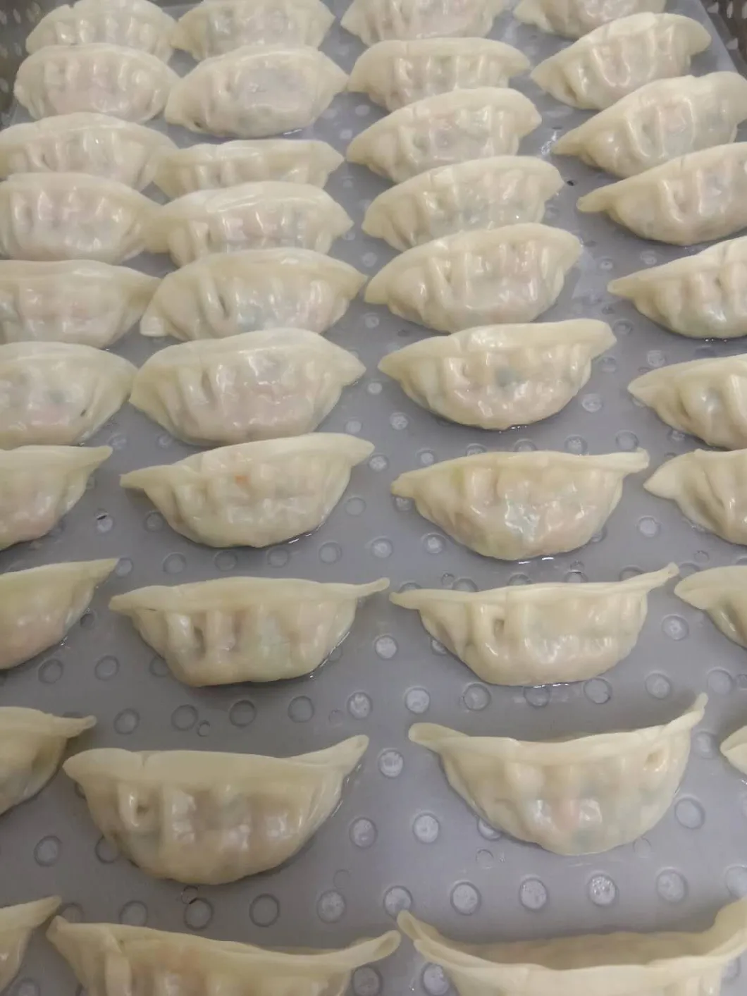 Frozen Steamed Prawn Dumpling Supermarket From China