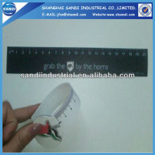 plastic ruler set