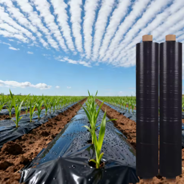 LDPE Perforated Black Agricultural Mulch Film