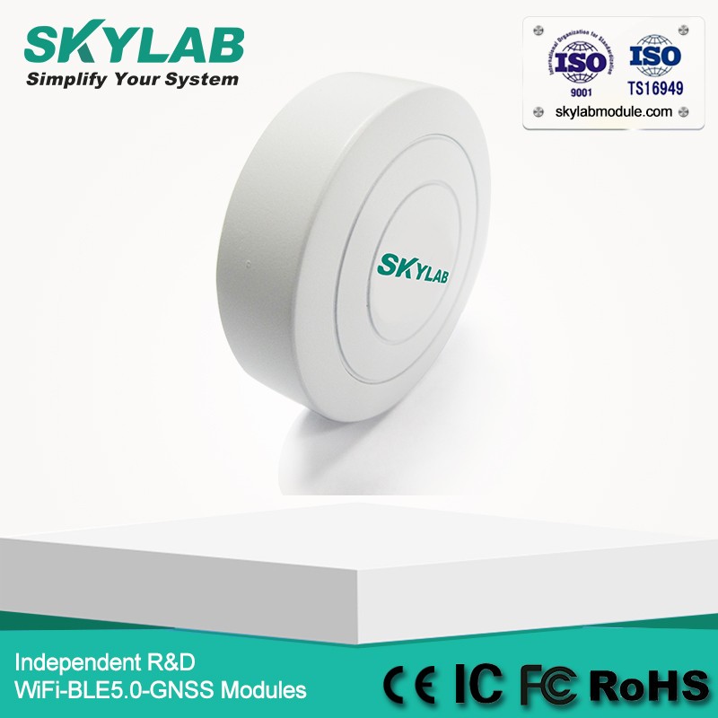 SKYLAB Low Energy bluetooth base station bluetooth 4.2 ble beacon card ble 4 0 ibeacon long range Nrodic52832 BLE beacon