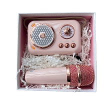 Mini Home Bluetooth Audio Player with Screen Display and Remote Control for Indoor Wireless Karaoke