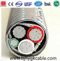 MC-kabel type 12/2 12/3 AWG 14 AWG 12 AWG
