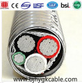 Câble MC de type 12/2 12/3 AWG 14 AWG 12 AWG