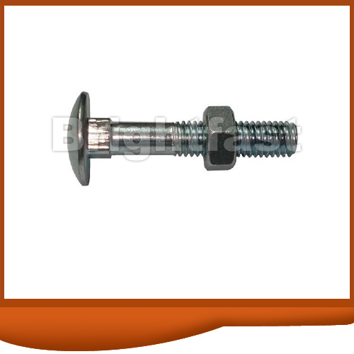 Mushroom Head Square Neck Carriage Bolt