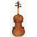 Dark brown advance violin