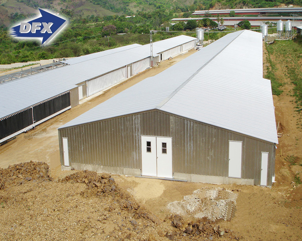 China low cost live chicken commercial structural poultry housing buildings for broiler