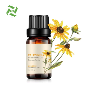 10ML Customization Label Wholesale CALENDULA OFFICINALIS FLOWER OIL CAS# 70892-20-5 Calendula Infused Oil for Skincare