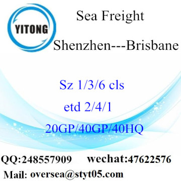 Shenzhen Port Sea Freight Shipping To Brisbane