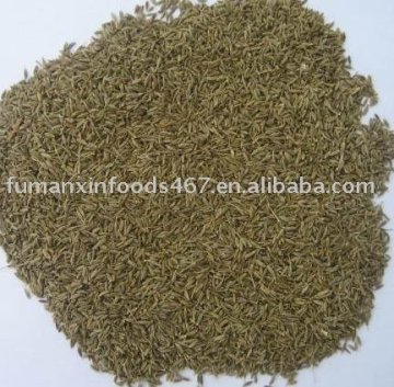 xinjiang cumin seeds