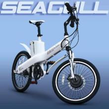 Electric Bicycle--Seagull fly on the way