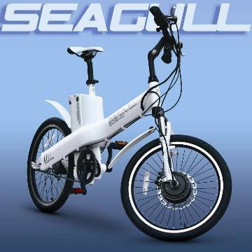 Electric Bicycle--Seagull fly on the way