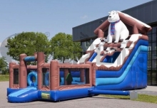 Customize Kids PVC inflatable balloon bouncer