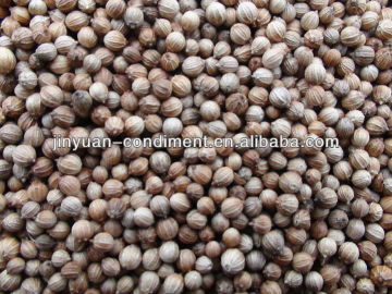 High Quality Coriander seeds