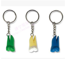 Molar Shaped Key Chain for Dental Clinic Promotions