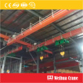 Cross Track Overhead Crane for Galvanizing