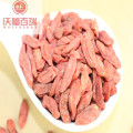 Goji Beere / Wolfberry / Niedriger Preis Goji Beeren