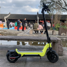 personal transporter electric scooter