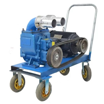 Brute Force Self Priming Sewage Pump for Cow Manure and Slurry