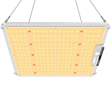 China 100w Led Light Plants