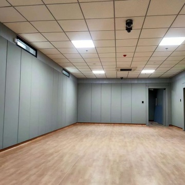 Impact Resistant Protective Wall Panels