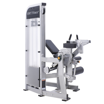 Dual Function Leg Extension Seated Leg Curl