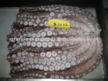 Frozen octopus leg