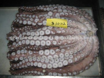 Frozen octopus leg