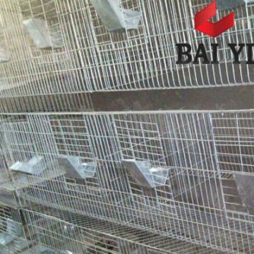 Animal Husbandry Rabbit Breeding Cage