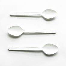 High quality disposable pp tea spoon, P3405W