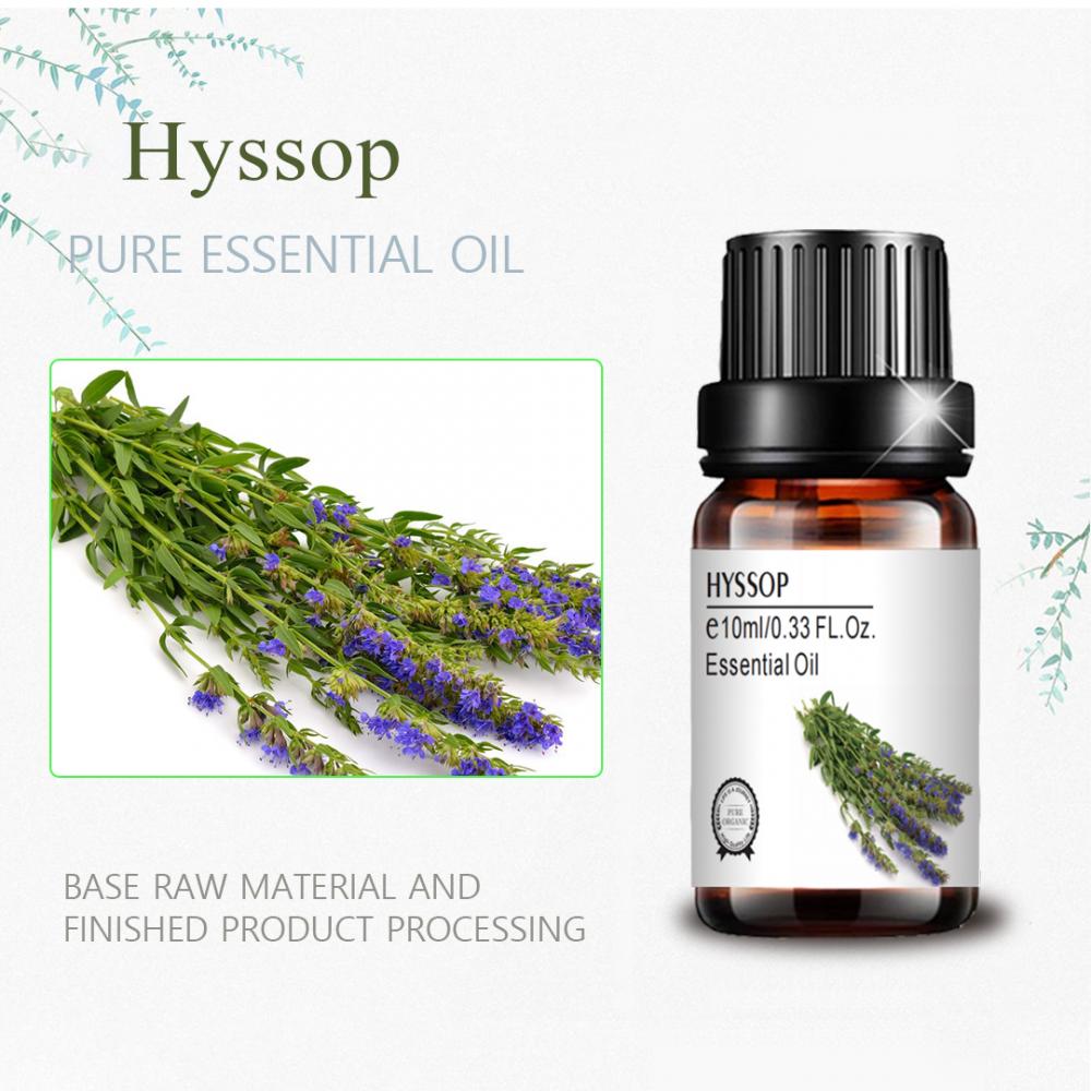 hyssop oil diffuser aromatherapy pure and natural