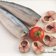 Frozen 150g Hgt Pacific Mackerel Fish Iqf