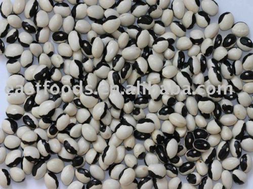 2014 new crop kidney bean