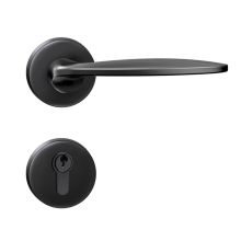 Quiet Lock with Buffering Mechanism for Doors
