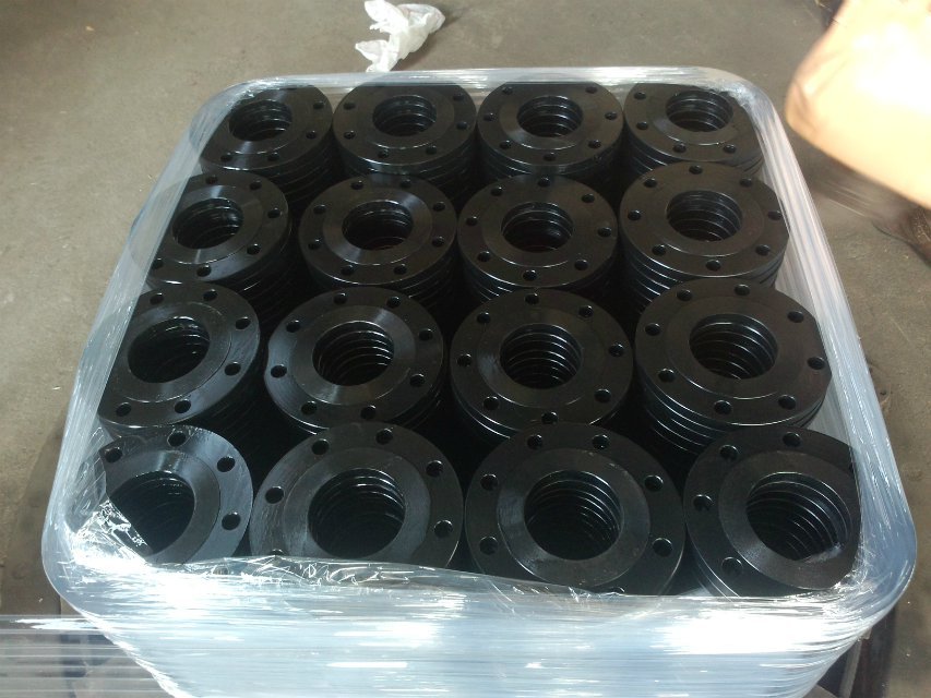 Hot-Galvanized Forged Carbon Steel Flanges