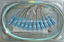 Sc 12cores Fiber Optic Pigtail/Bundle Multi-Fiber Pigtail