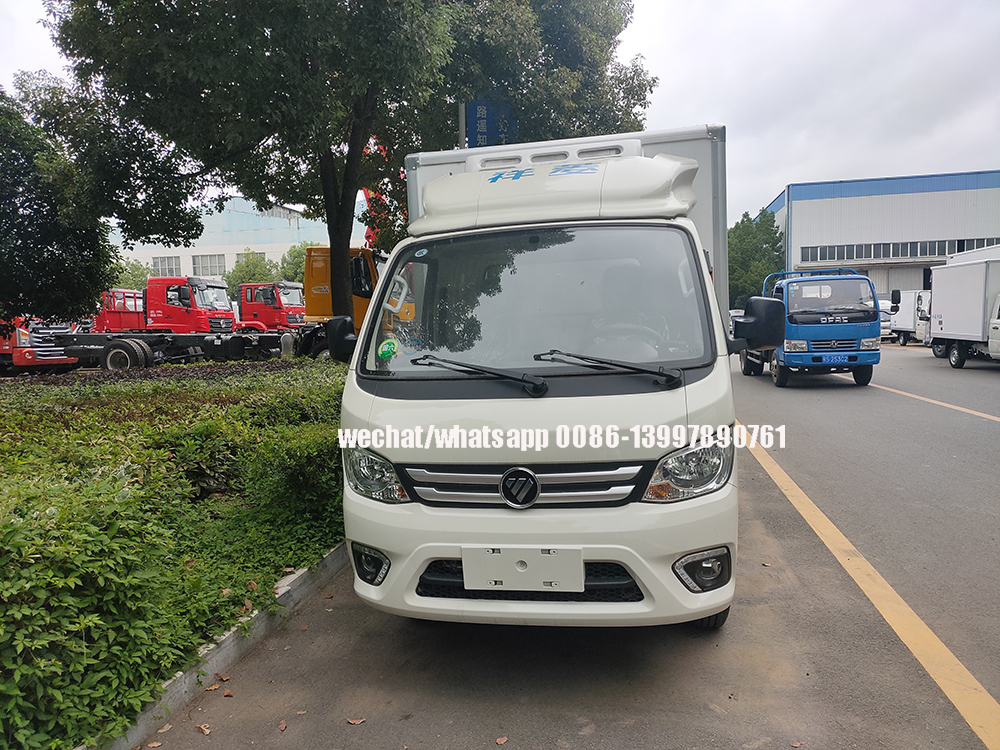 Foton Small Truck