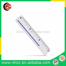 15cm Plastic Ruler