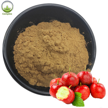 Best Price Wholesale Crataegus Pinnatifida Extract