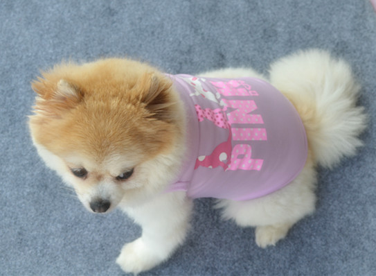 Pet Clothing Summer Breathable for Dogs Cool Polyester Vest Dog Clothes Vest Wholesale