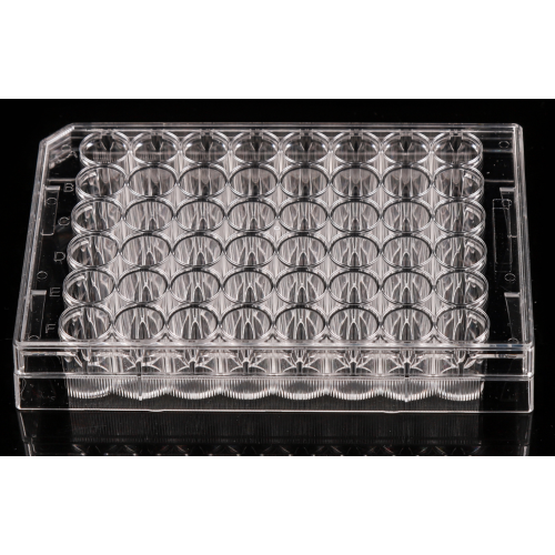 Placas de cultivo celular de 48 pocillos sin tratar