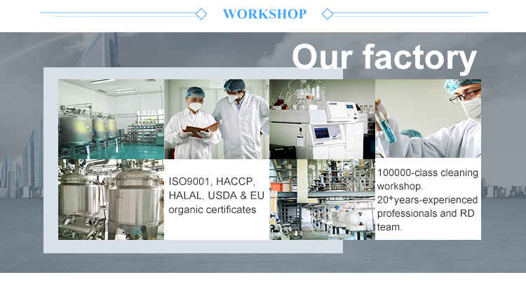 Завод экстрактов растений Plant Extract Factory