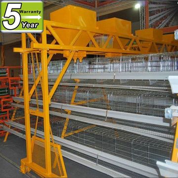 chicken cages for chicken egg poultry farm