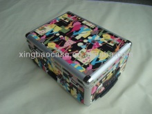 PVC trolley case hand luggage cases