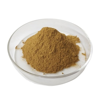 Natural Angelica Root Extract Powder Angelica Root Extract Imperatorin